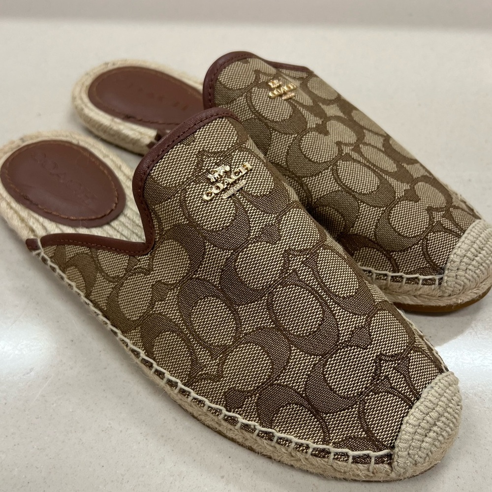 Coach slides - Picture 2 of 6